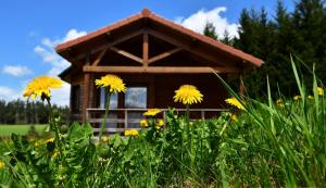 Chalets L'Oree du Pichier : photos des chambres