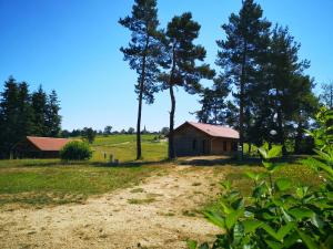 Chalets L'Oree du Pichier : photos des chambres