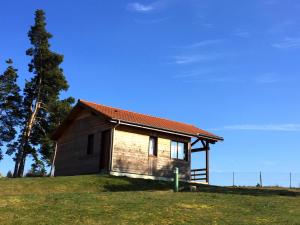 Chalets L'Oree du Pichier : photos des chambres