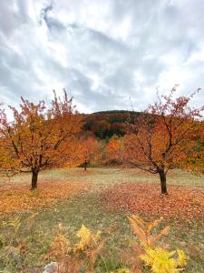 Countryside Mansion Kaimaktsalan Greece