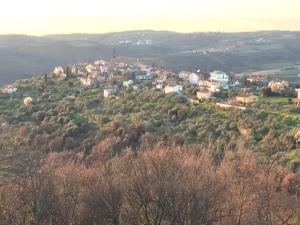 Apartments Padna Goja