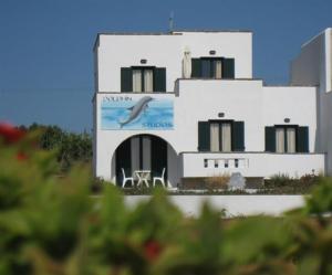 Dolphin Studios Naxos Greece