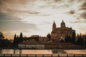 Arroyo de Santo Domingo, 3, 37008 Salamanca, Spain.