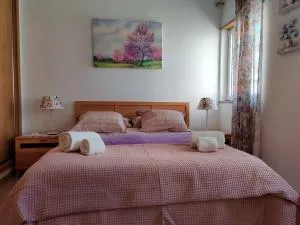 Casinha Azul - Santo Amaro