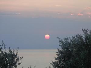 Studio with Sea View room in Sea Front