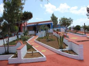 TELLINA PALMARE BEACH