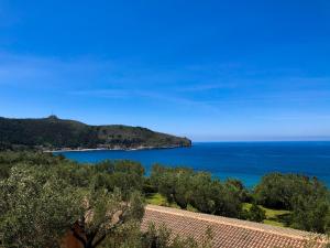 NaturAmare Apartments Palinuro