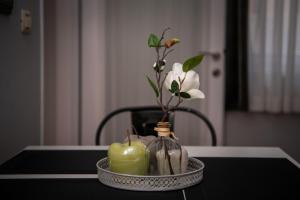 Apartment Green 29