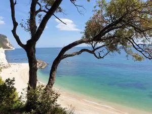 La Dolce Vita - Castelfidardo