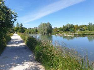 Studio Cerf, quartier marais, terrasse rez de chaussé, jardin accessible, matelas confortable
