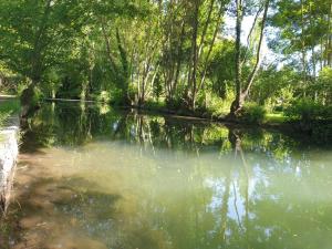 Studio Cerf, quartier marais, terrasse rez de chaussé, jardin accessible, matelas confortable