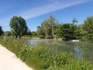 Studio Cerf, quartier marais, terrasse rez de chaussé, jardin accessible, matelas confortable