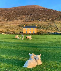 Hidden Hills Waterville - Priv..