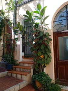 T2 à Menton Vue mer proche Plage