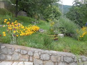 Apartments VESNA