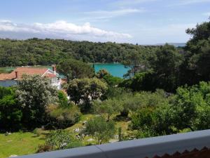 Milijana Apartments Rab