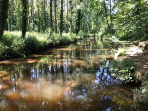 Appartements Apt de charme, les pieds dans l'eau : photos des chambres