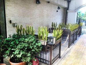 Sea View Apartment free parking