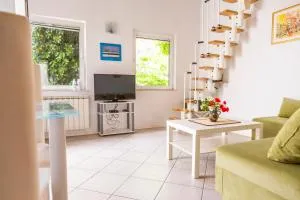 Oleander - 斯楚雅