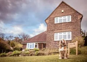 Green Pastures cottage in South Downs - Wilmington