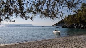 Lina A & M Skopelos Greece