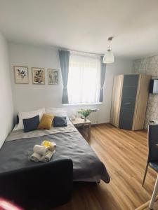 Apartamenty Majka