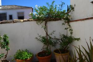 Calle Sta. Isabel la Real, 19, 18010 Granada, Spain.