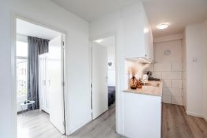 Papillon flat