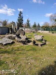 Maisons de vacances Descartes : photos des chambres