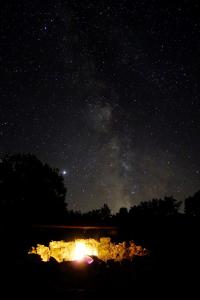 Camping Freedom Istria Pitches