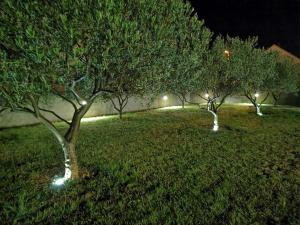 Holiday Home Intrade