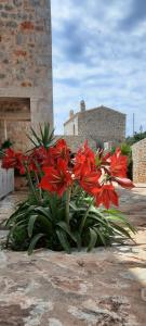 Koukouri Village Lakonia Greece