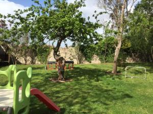 Maisons de vacances Gite de la Grenouille : photos des chambres