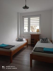 Apartament Blisko Zamku