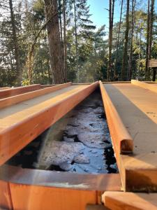 Maisons de vacances Bain de foret - Lodges Cosy & Spa : photos des chambres