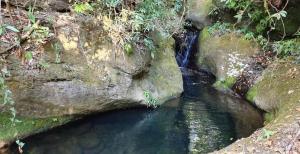 CASA GIRASSOL-Trilha das Flores-SERRA DA CANASTRA