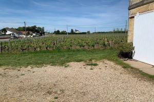 Maisons de vacances Chateau Roseyrol proche Saint-Emilion : photos des chambres