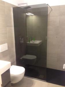 Apartment al Lido Ascona