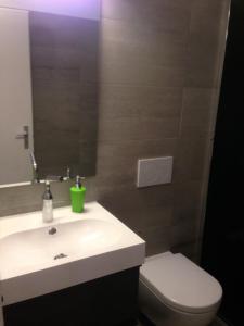 Apartment al Lido Ascona