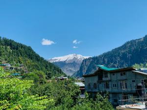 Jungle by sturmfrei Manali