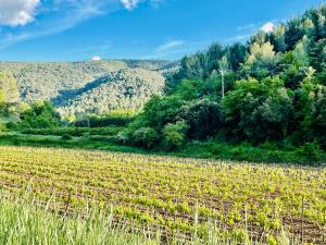 Villas VILLA BEL - Entre paradis et vignes : photos des chambres