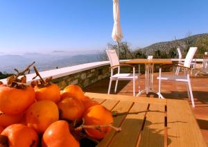 The Lotus Tree Archontiko & Pelion Activity Lodge Pelion Greece