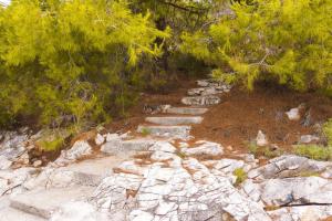 Fully renovated one bedroom apartment with a terrace - C