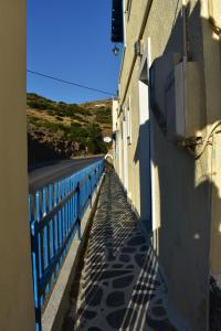 3 Alpha Studios Andros Greece