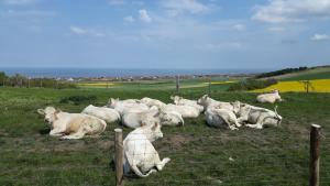 Maisons de vacances sangatte 