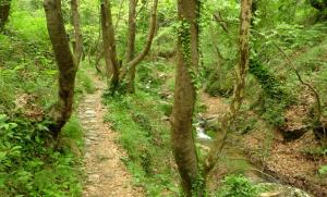 The Lotus Tree Archontiko & Pelion Activity Lodge Pelion Greece