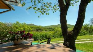 Dombtető Vendégház