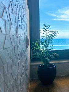 Zonapartments B sea view- city center