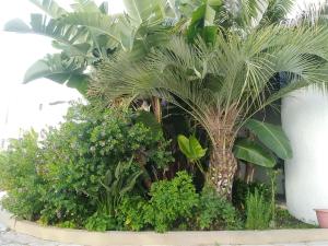 Garden View Vilamoura Apartment