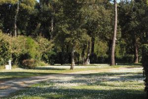 Camping Le Puits de l'Auture photo 12
